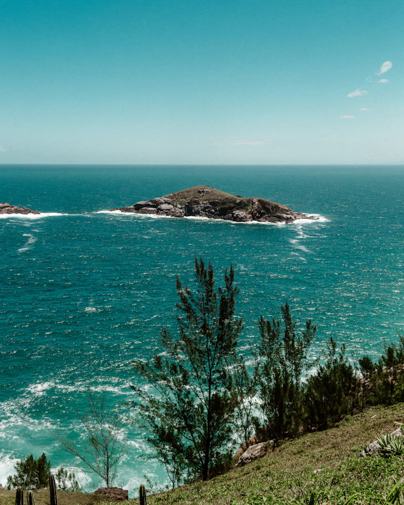 Pequena ilha rochosa em mar azul, vista do alto de um morro com vegetação